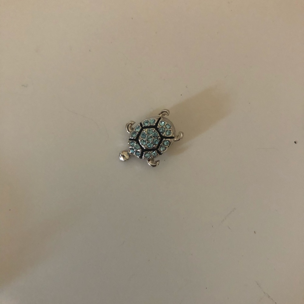 Jewelry snaps